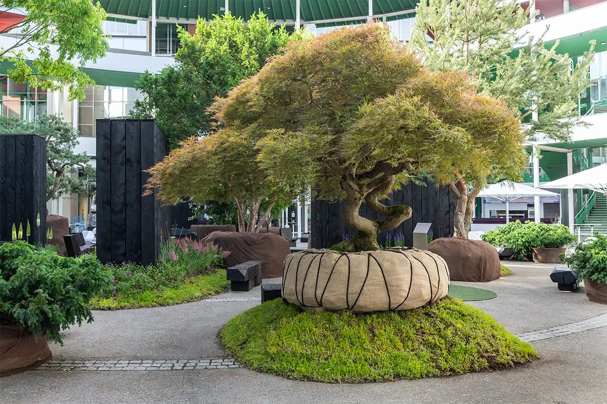 Nature_Installation_The Living Fragment_Enea_Tree_Museum_at _Art_Basel_2026_Copyright_Enea Landscape_Architecture