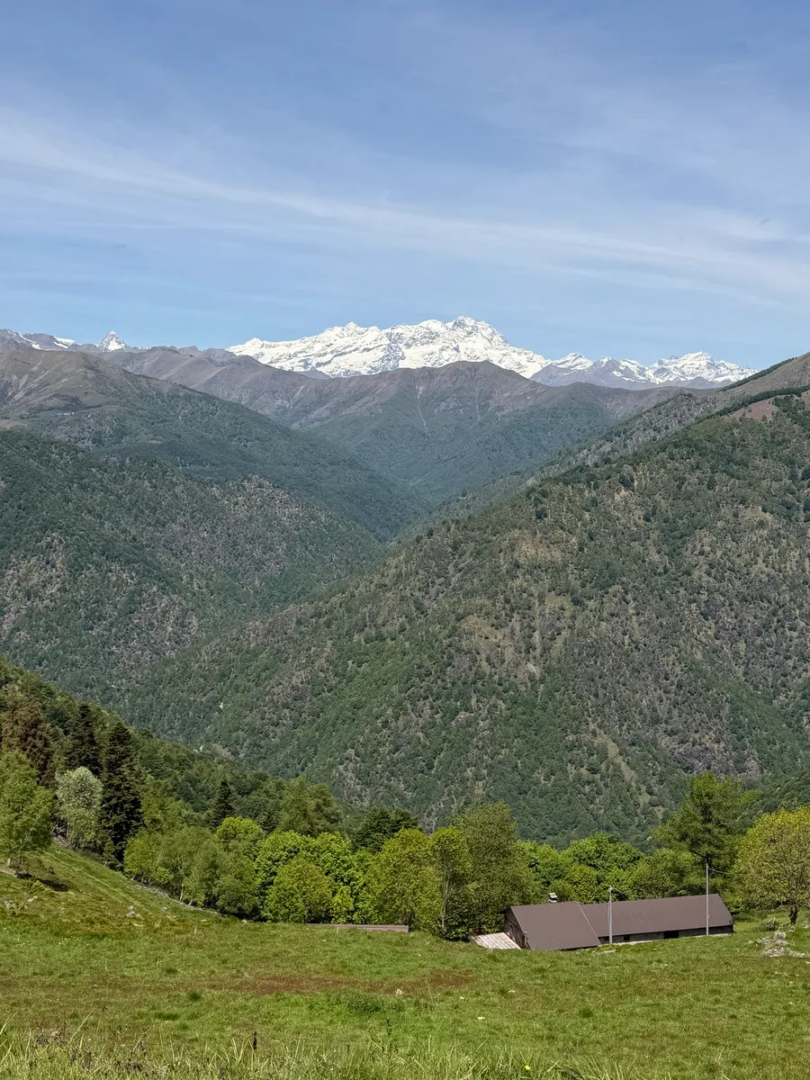 vista del Monte Rosa
