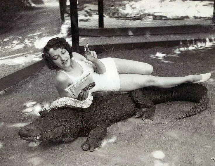 Woman with alligator, California Alligator Farm, Los Angeles, ca. 1940s. Courtesy of the Los Angeles Public Library Photograph Collection