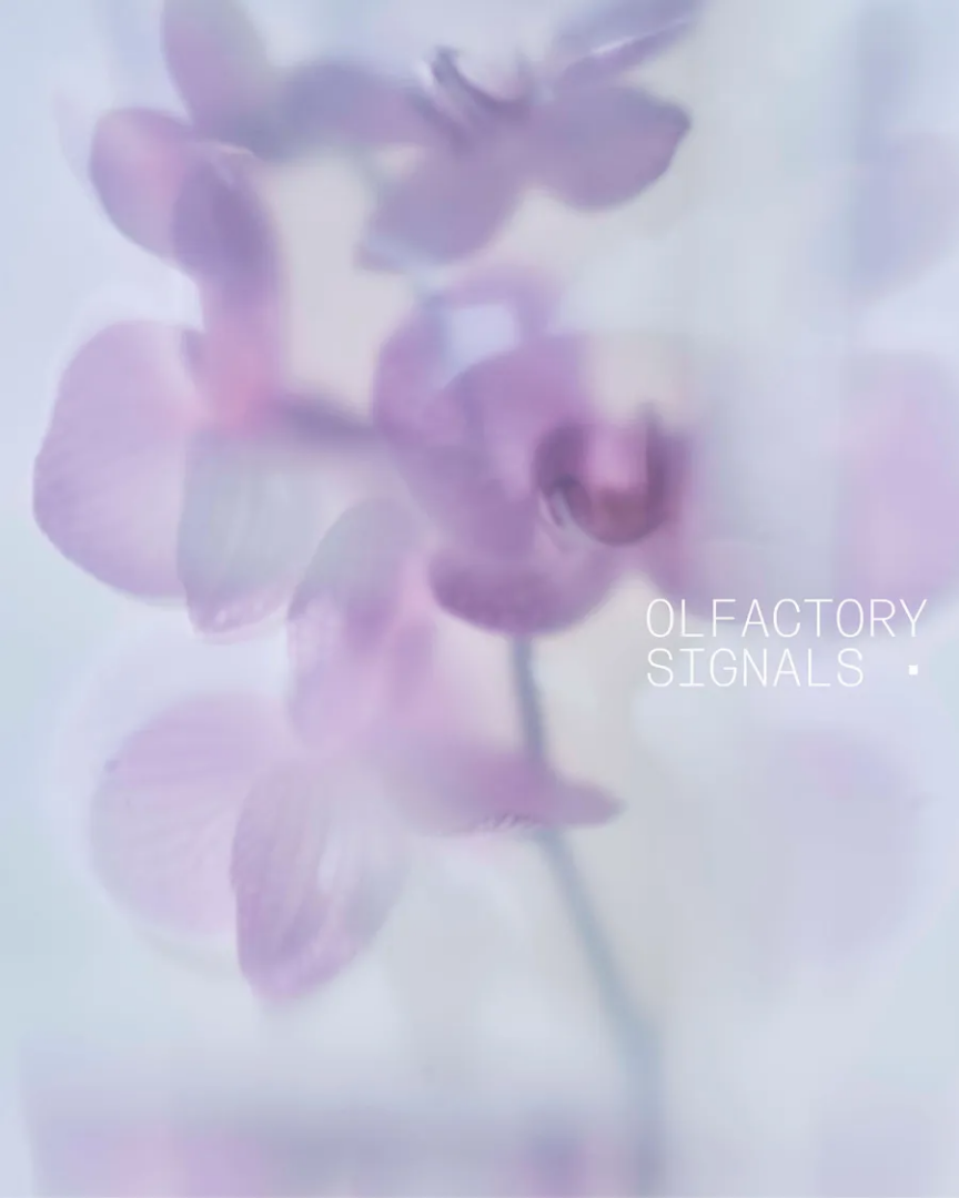 Olfactory Signals. Ph. @nachoalegre