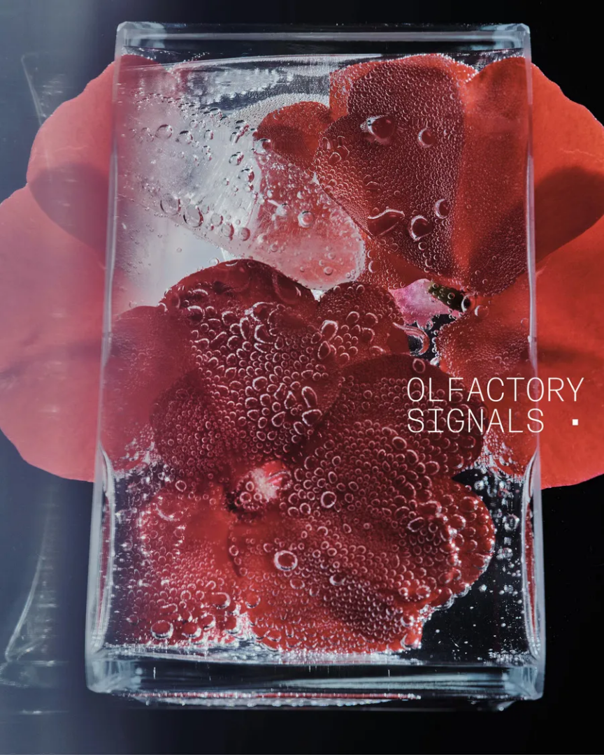 Olfactory Signals. Ph @nachoalegre