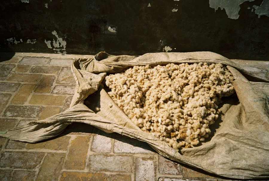 Raw cotton fibers spread across an open cloth sack on a stone floor, illuminated by sunlight against a dark, weathered wall.