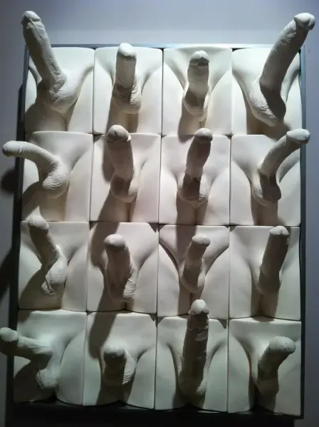 Jamie McCartney, The Great Wall of Dicks