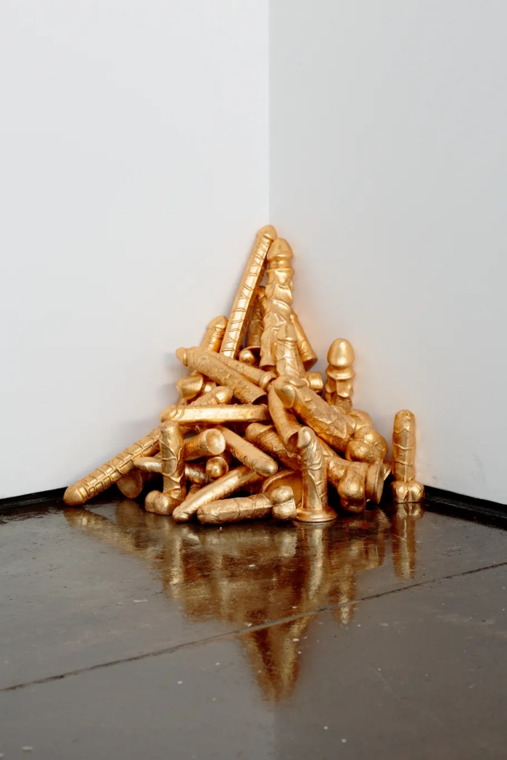 Katarzyna Kozyra, Boys, 2001-2002