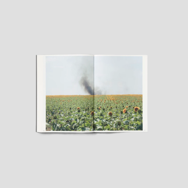 Silent Springs Michele Borzoni Rocco Rorandelli