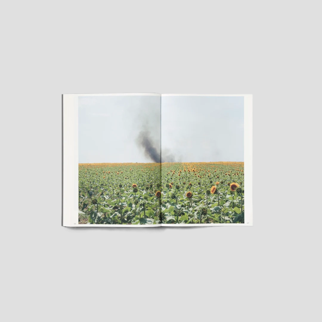 Silent Springs Michele Borzoni Rocco Rorandelli