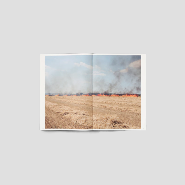 Silent Springs Michele Borzoni Rocco Rorandelli