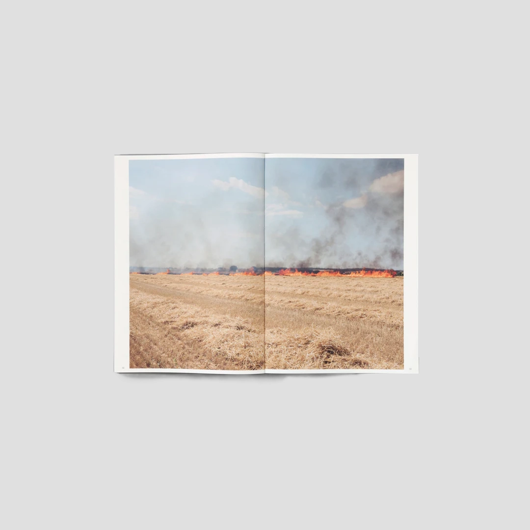 Silent Springs Michele Borzoni Rocco Rorandelli