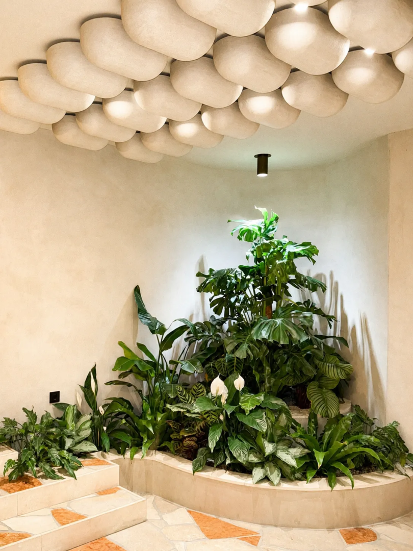 Dense indoor planting introduces a subtropical register into the hotel