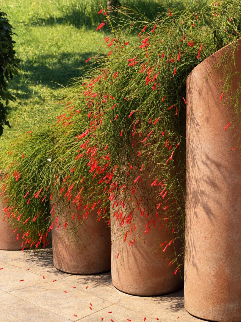 Mediterranean planting across the grounds of D-Resort Göcek