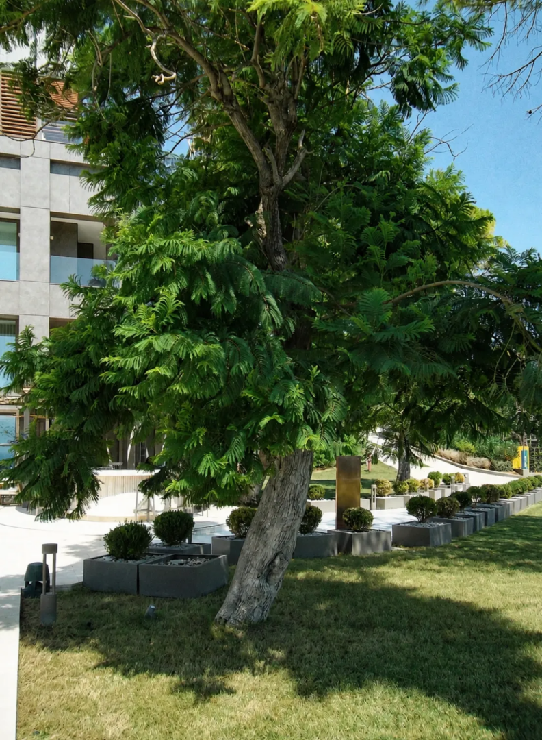 Garden overlooking the Lara coastline