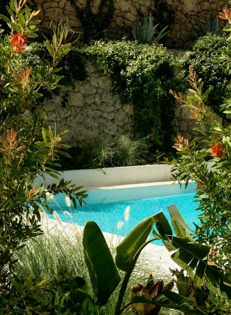 Mediterranean planting around the pool