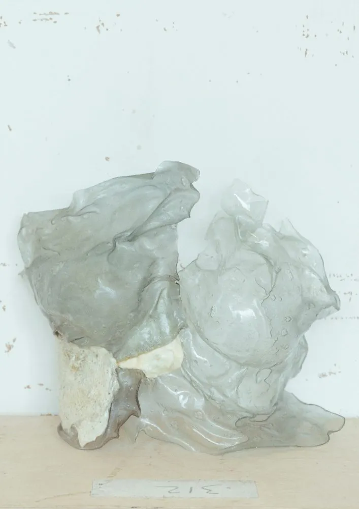 Agar agar, Gelatine, Glycerine. Valeria Pulici, Photography Kira Issar