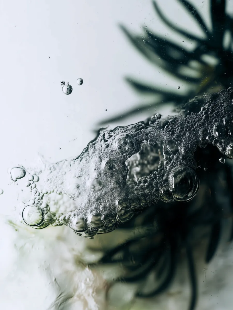 Macro photograph of transparent liquid bubbles and foam suspended in water, with dark botanical silhouettes in the background.