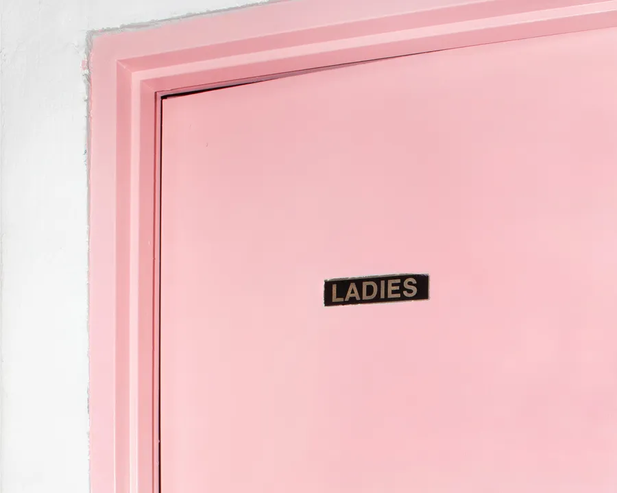 Close-up of a pastel pink door with a black rectangular sign reading “LADIES” against a white wall.