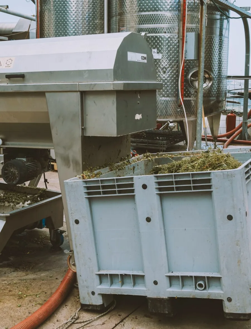 Industrial processing equipment, stainless steel tanks and a plastic container filled with plant waste at a production facility.