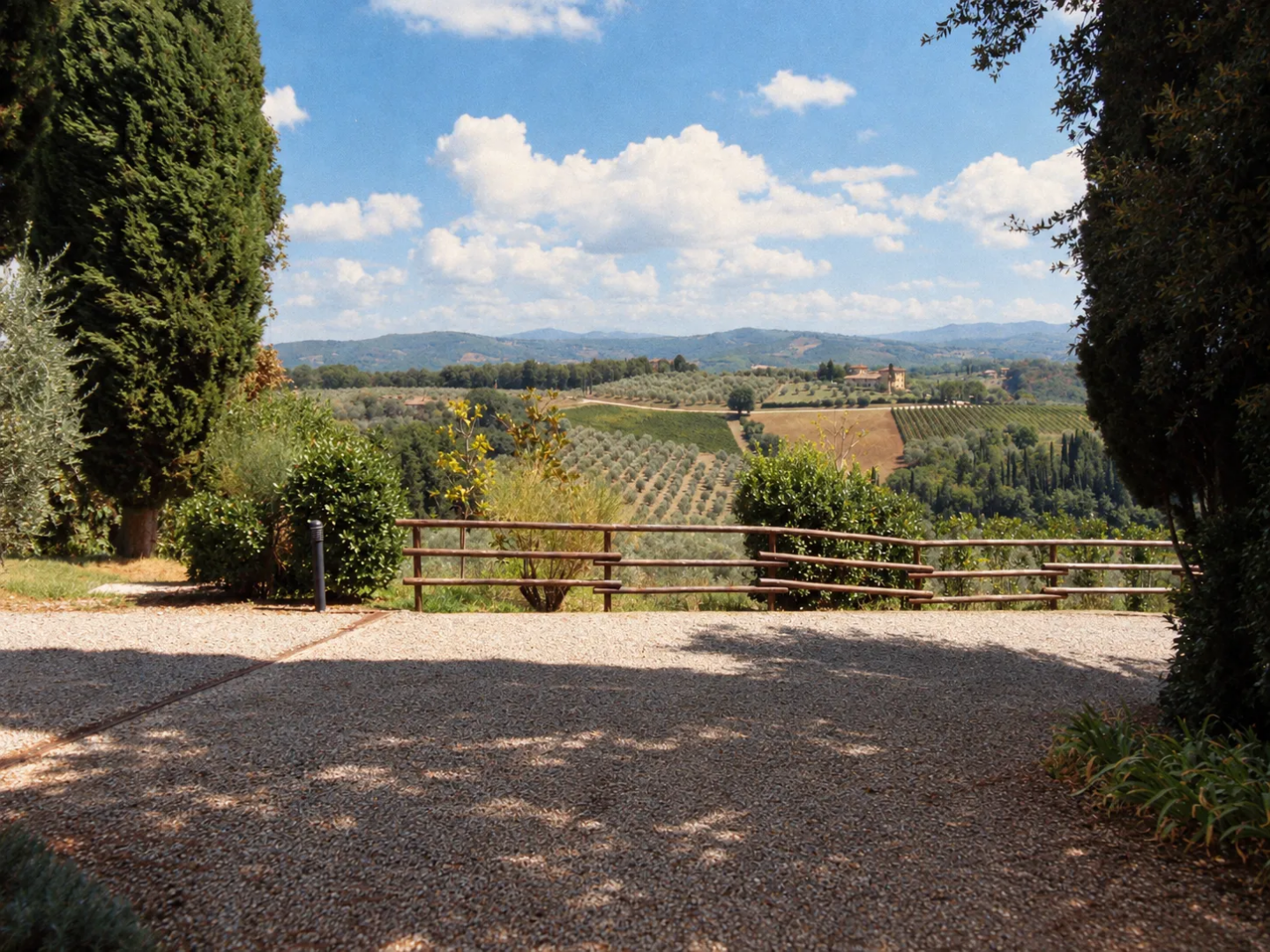 Vineyards and olive groves across the 300-hectare estate