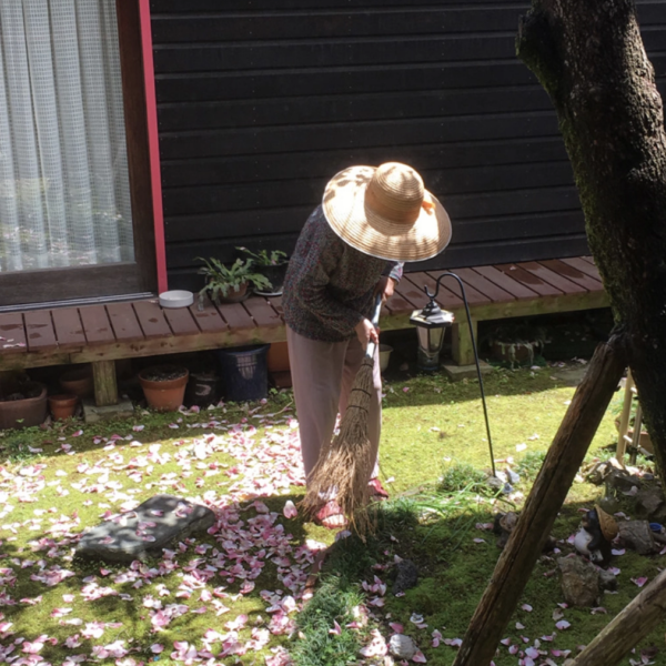 Person wearing a straw hat sweeping fallen pink petals from a moss-covered garden beside a wooden house.