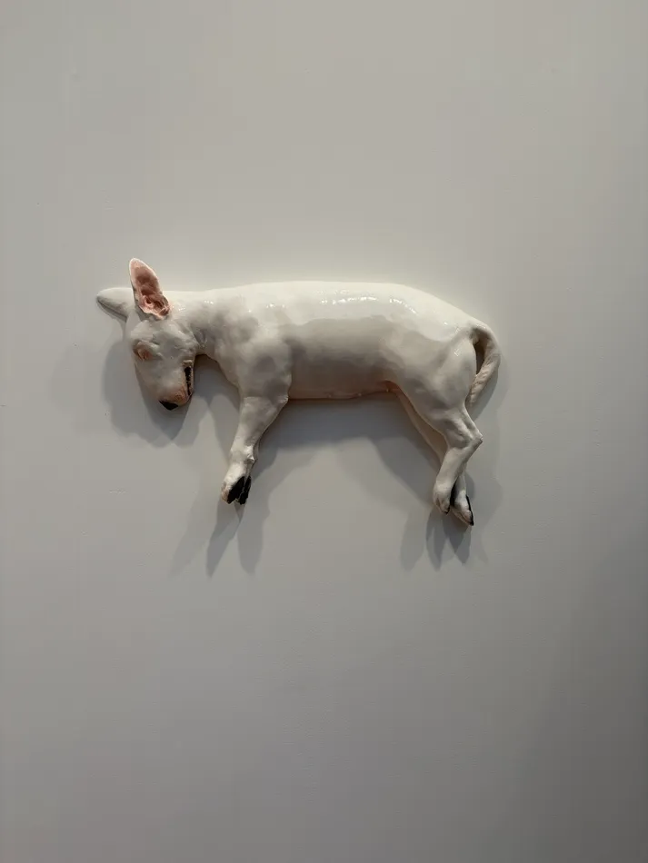 White sculptural dog by Diego Marcon mounted horizontally on a gallery wall, with its head lowered, legs hanging and glossy surface reflecting the light.