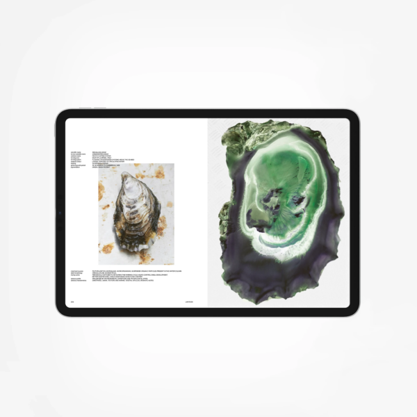 Lampoon SALIVA Issue 34 Digital Edition displayed on a tablet, showing an editorial spread with an oyster shell and a translucent green sculptural mineral form.