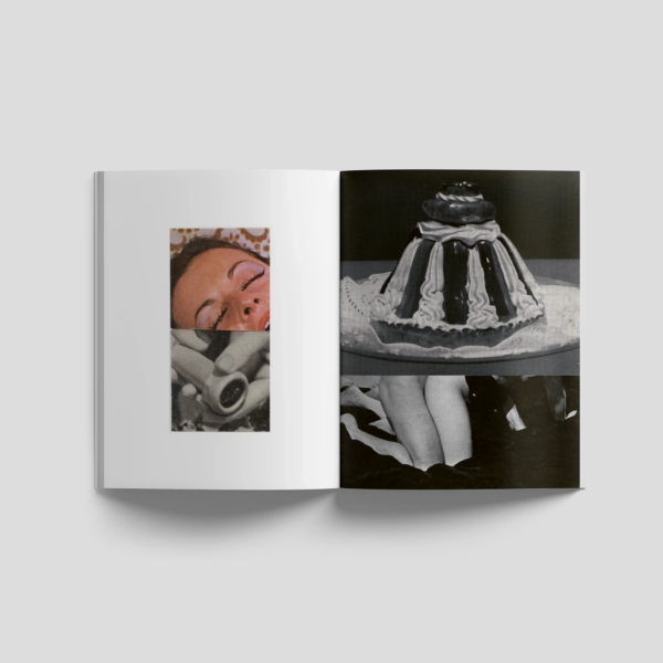 Lampoon SALIVA Issue 34 editorial spread featuring a collage of a woman’s face, hands, a molded dessert and cropped legs in color and black-and-white photography.