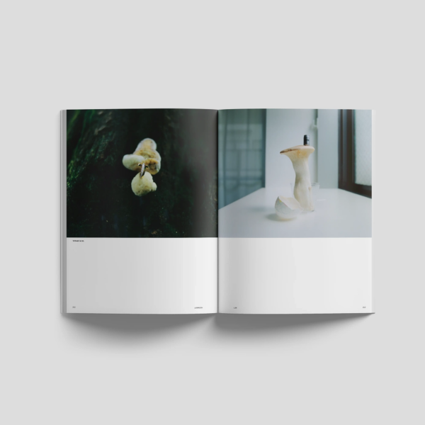 Lampoon SALIVA Issue 34 editorial spread featuring sculptural mushroom forms used as jewelry and still-life objects, including a Tiffany & Co. ring and a pale mushroom composition photographed by a window.