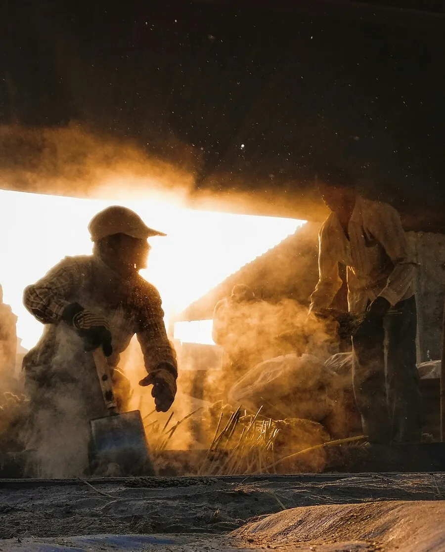 Two workers manually handling fibrous material in a dust-filled industrial workshop, illuminated by sunlight.