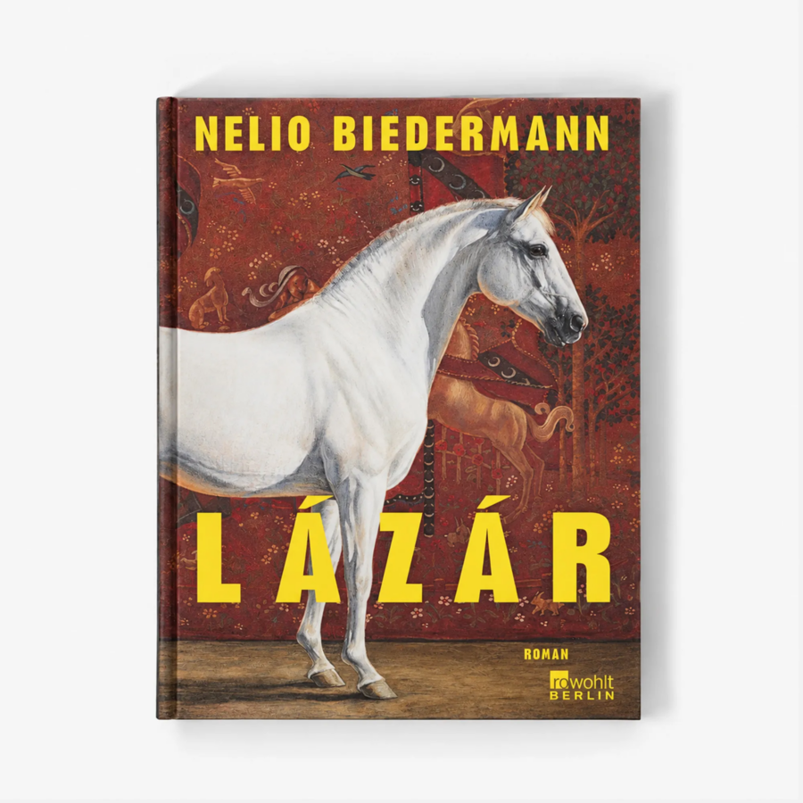 Nelio Biedermann: the youngest writer with the oldest story to tell