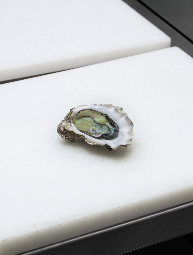 A freshly opened oyster with delicate green and pearlescent tones, resting on a minimalist white surface