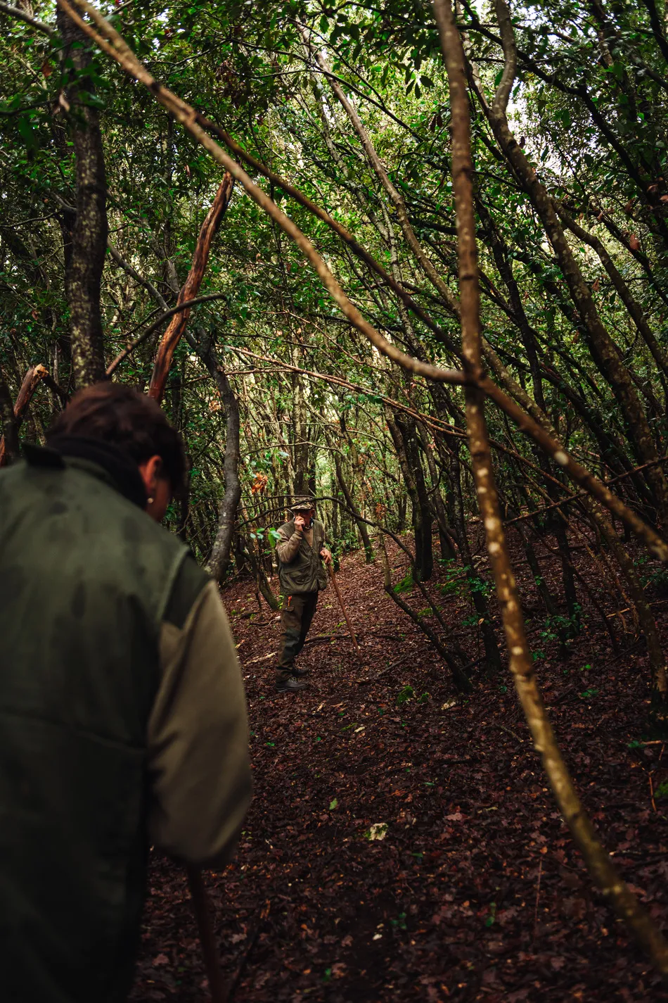Two truffle hunters walking through dense woodland near San Pietro a Pettine in Umbria, surrounded by trees and undergrowth.