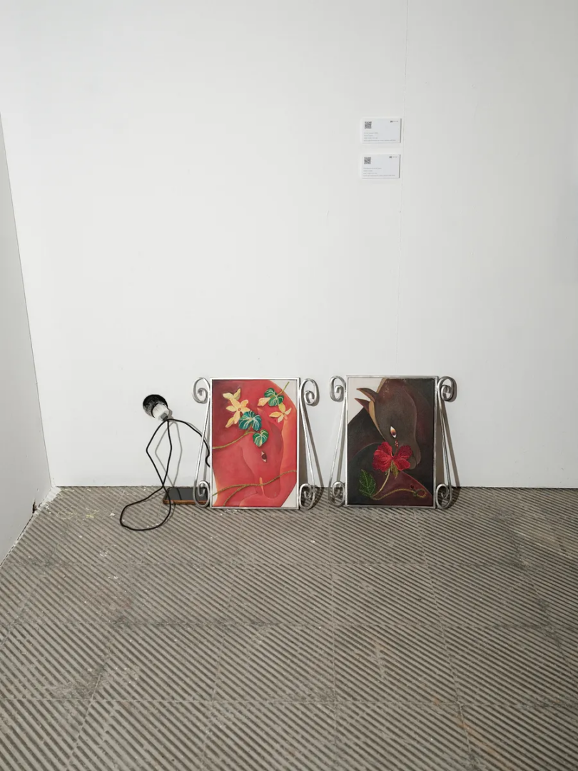 Two framed paintings leaning against a white gallery wall, depicting birds, flowers and foliage against red and brown backgrounds.