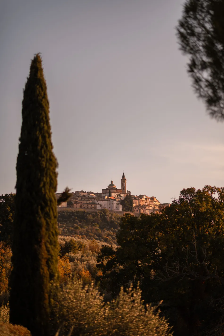 Historic hilltop town of Trevi in Umbria, with its church bell tower, stone buildings and surrounding olive groves at sunset.