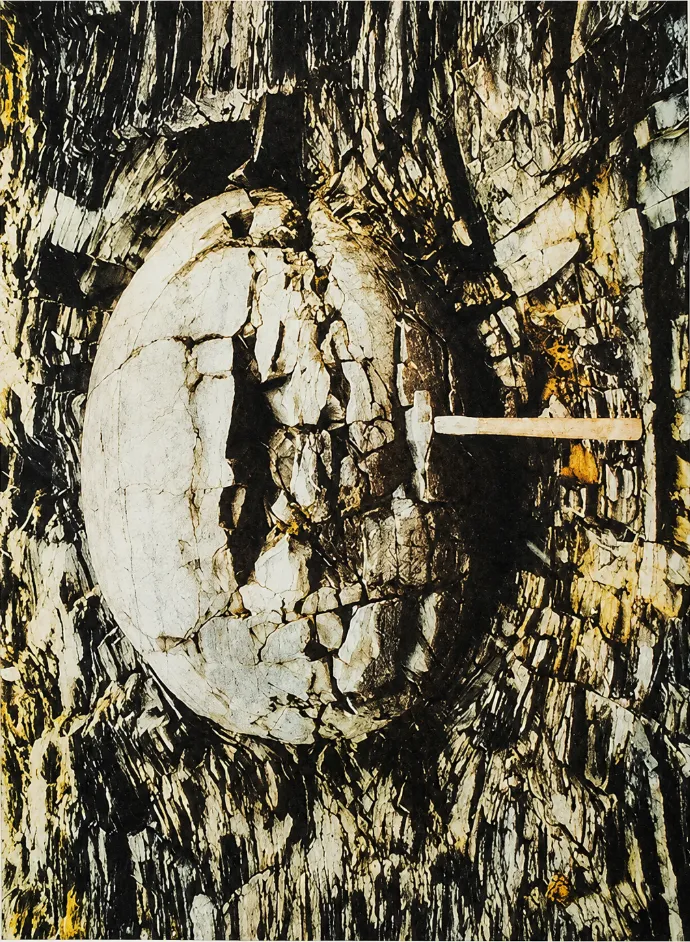 Close-up of a cracked, pale circular formation embedded in dark, layered earth, with a narrow rod extending from its center toward the right.