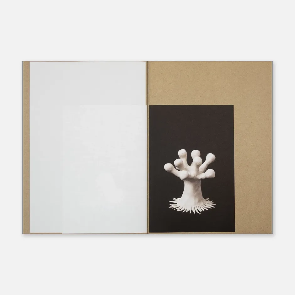 White organic sculpture with rounded, finger-like protrusions and a fringe of thin extensions at its base, photographed against a dark background. 