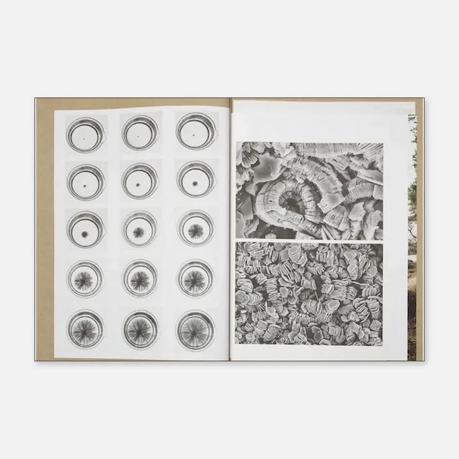 Open spread from Vital Mud by Hiske Altena, featuring fifteen circular diagrams of expanding crystalline formations alongside black-and-white close-up photographs of layered mineral structures.