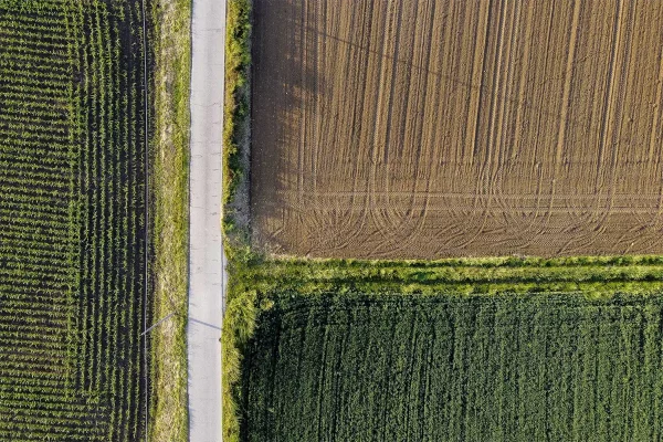 Lampoon Campagna, fotografia di Luca Eberle
