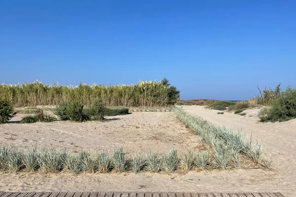 Oku, Kos, the garden design