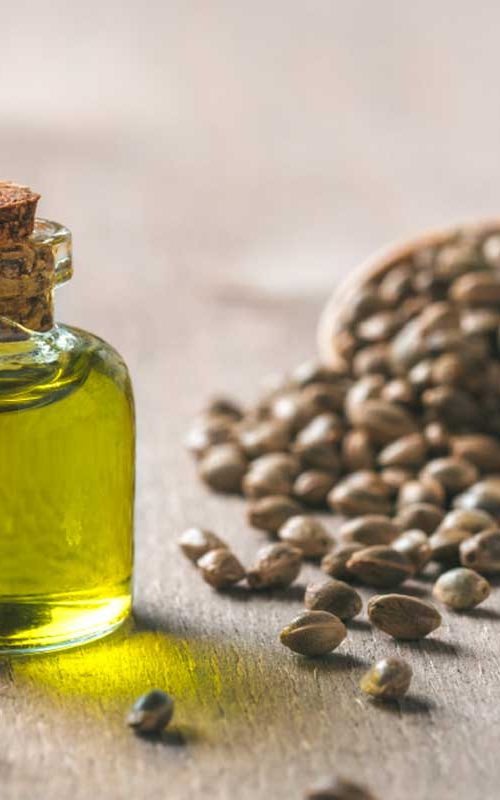 Lampoon, Olio di semi di Canapa