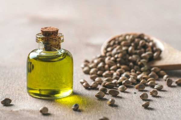 Lampoon, Olio di semi di Canapa