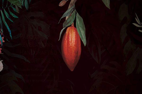 AMEDEI CHOCOLATE ILLUSTRATION AMEDEI CHOCOLATE ILLUSTRATION