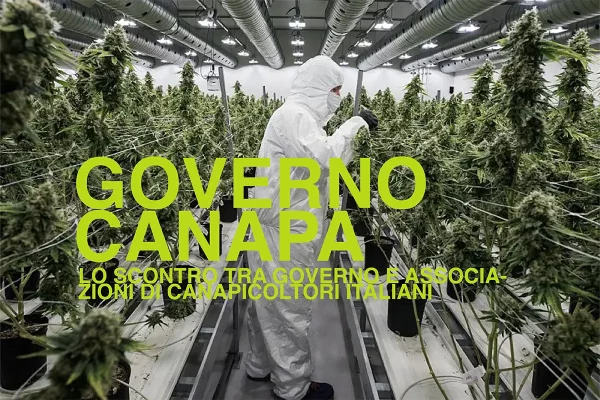Governo canapa