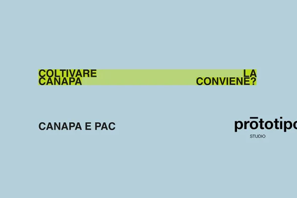 Coltivare la canapa conviene. Canapa e PAC