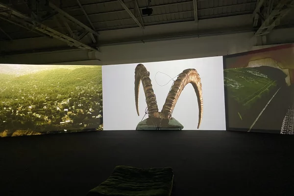Commissioned by Pirelli HangarBicocca, Arslanbob (2023–ongoing) is an exploration of the forest which holds the name of the mystic