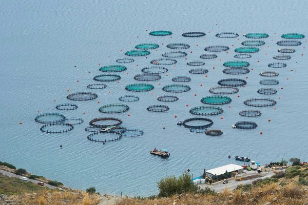 FISH FARM IN AMARYNTHOS, GREECE