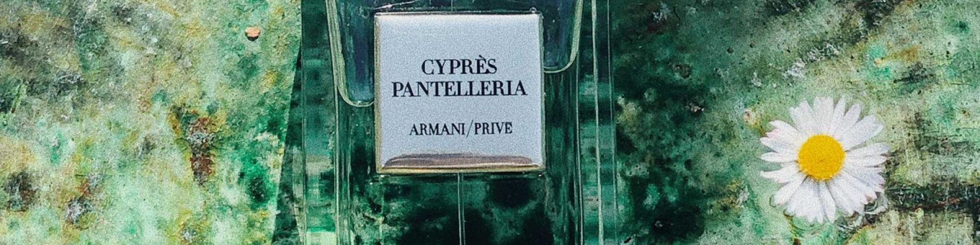 armani cyprès pantelleria