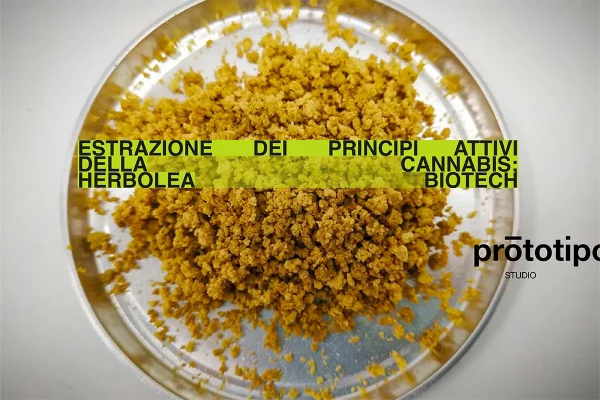 Estrazione dei principi attivi della cannabis - herbolea biotech