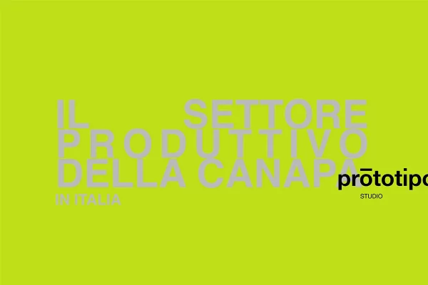 Il settore produttivo della canapa in italia