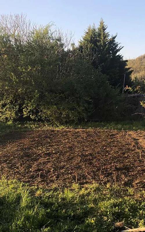 La canapa utilizzata da Francesco Vantin di Gimmi jeans è la carmagnola