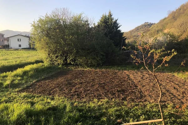 La canapa utilizzata da Francesco Vantin di Gimmi jeans è la carmagnola
