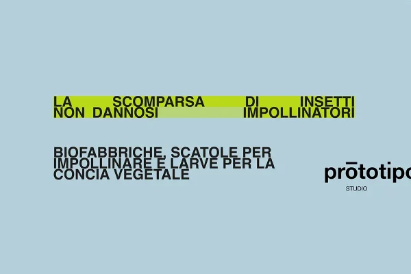 La scomparsa di insetti non dannosi impollinatori